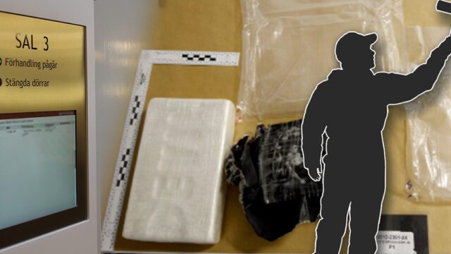 Målarens bortförklaring i tullen