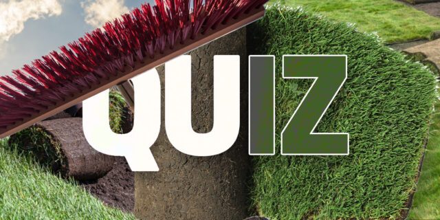 Quiz gräsmatta på rulle