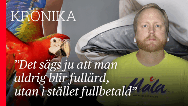 Jobb som servicemålare