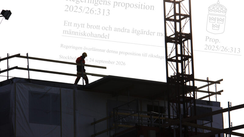 Flera nya lagar som tar sikte mot illegal arbetskraft och människohandel är på gång.
